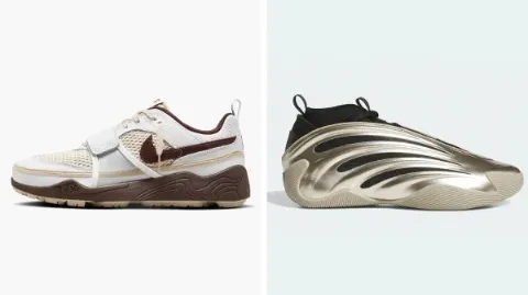 sneakerstyle11a.webp